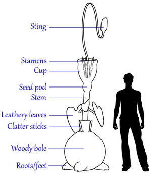 Diagram of triffid
