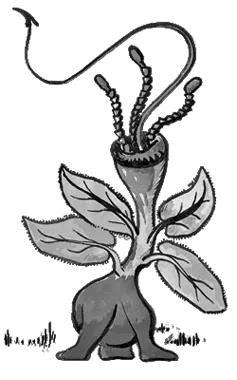 Triffid drawing number 2 by John Wyndham